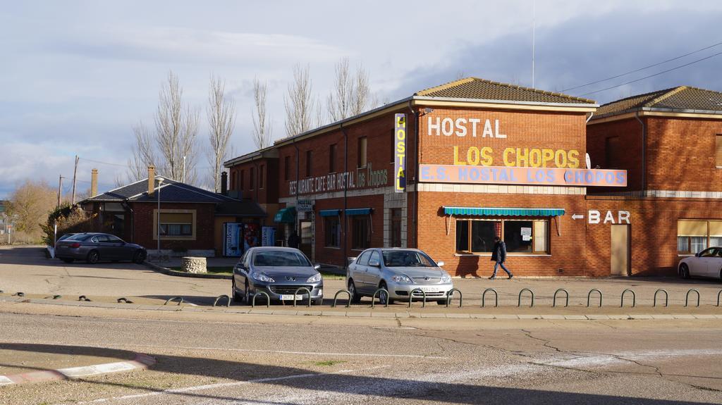 Hostal Los Chopos Osorno Luaran gambar